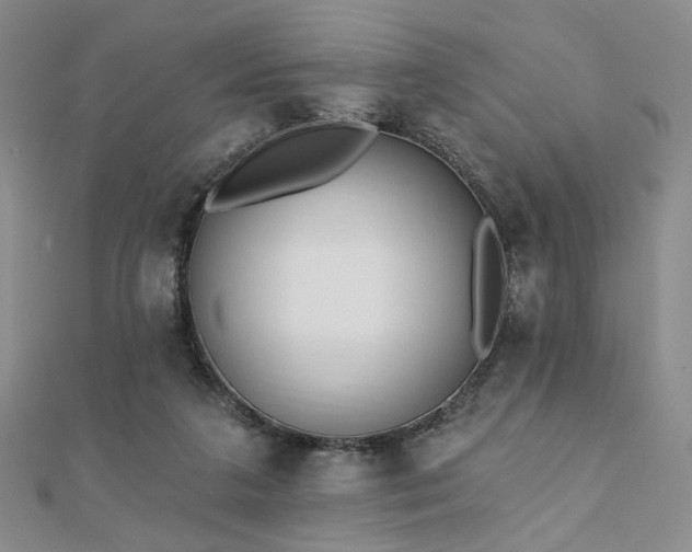 X0000110740211200906151110