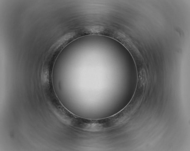 X0000110740212200906151110