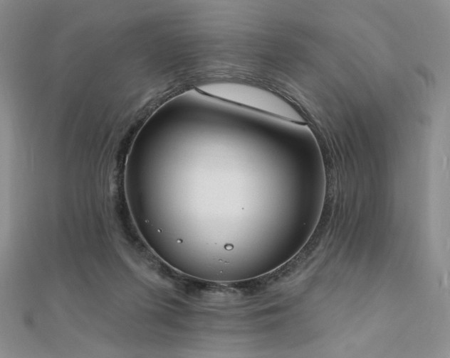 X0000110740215200906151110