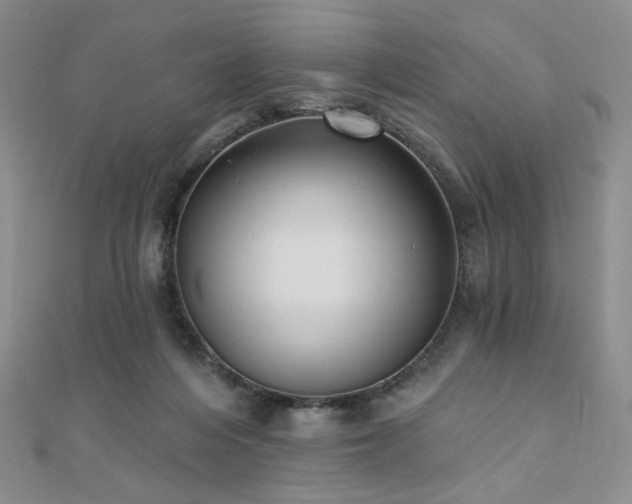 X0000110740216200906151110