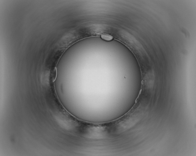 X0000110740217200906151110