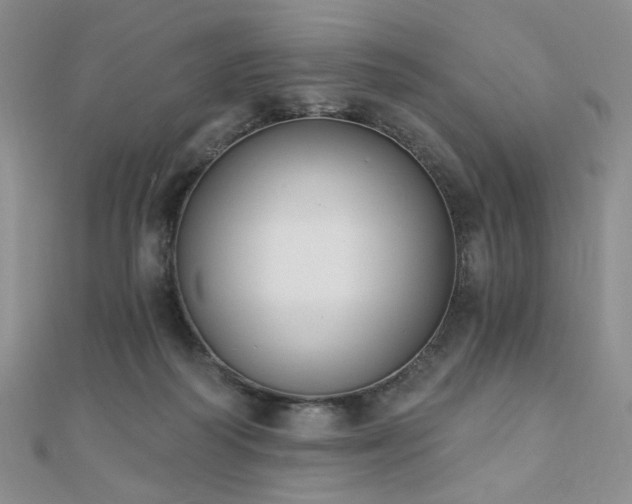 X0000110740218200906151110