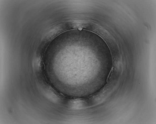 X0000110740219200906151110