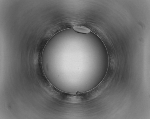 X0000110740221200906151110