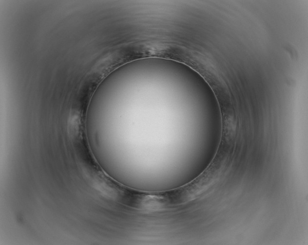 X0000110740222200906151110