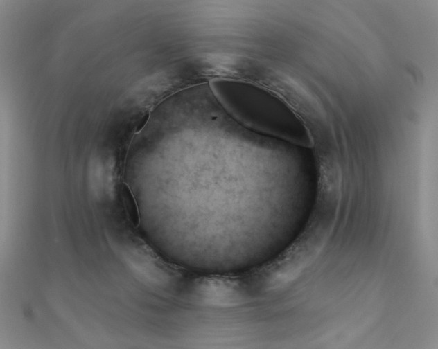 X0000110740223200906151110