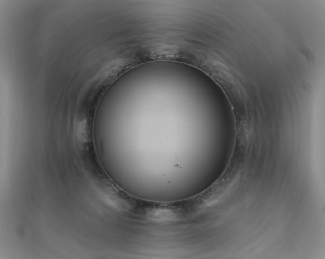 X0000110740224200906151110