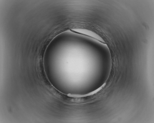 X0000110740225200906151110