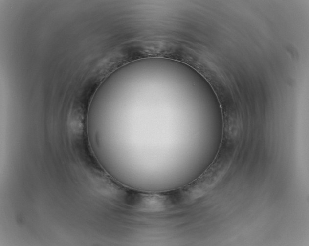X0000110740226200906151110