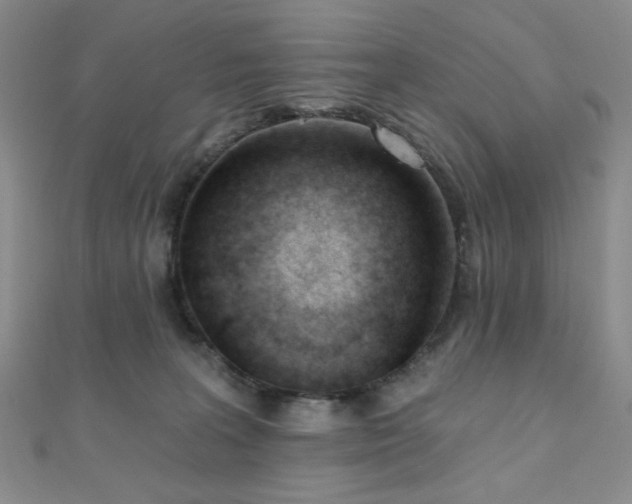 X0000110740227200906151110