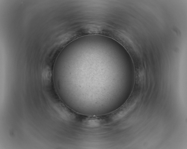 X0000110740228200906151110