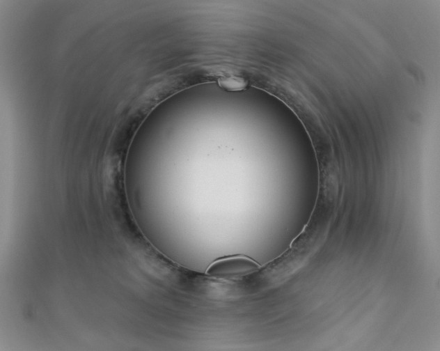X0000110740229200906151110