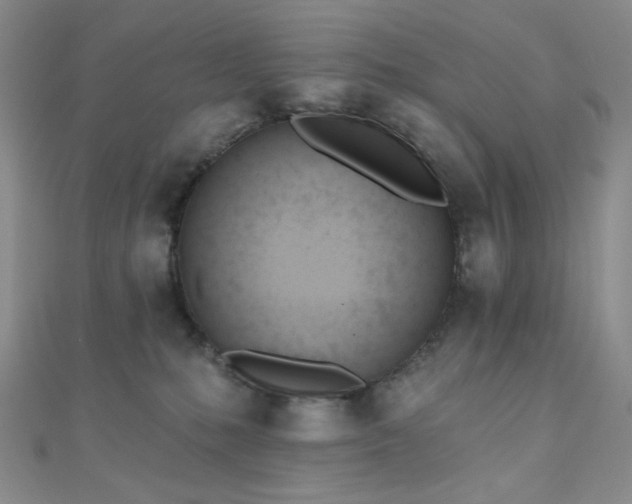 X0000110740231200906151110