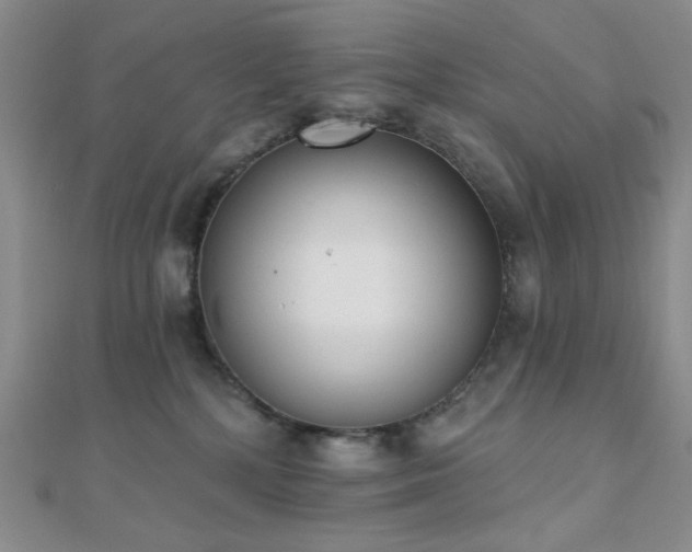 X0000110740232200906151110