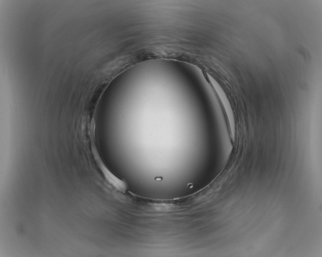 X0000110740233200906151110