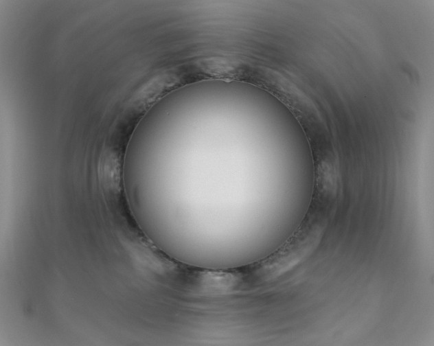 X0000110740234200906151110