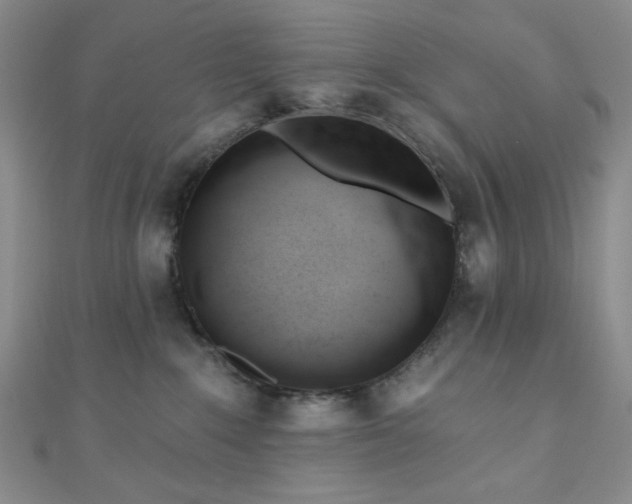X0000110740235200906151110