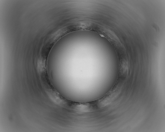 X0000110740236200906151110