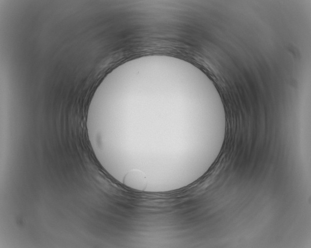 X0000110740237200906151110