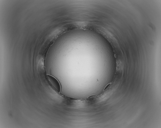 X0000110740238200906151110