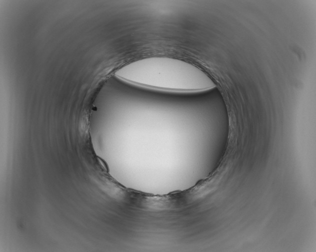 X0000110740240200906151110
