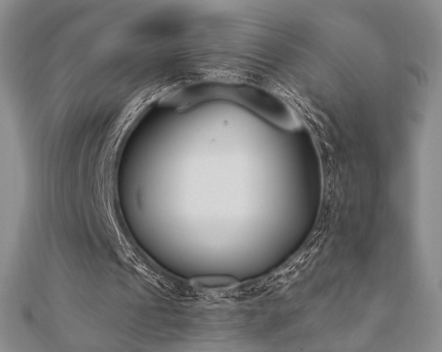 X0000110740241200906151109