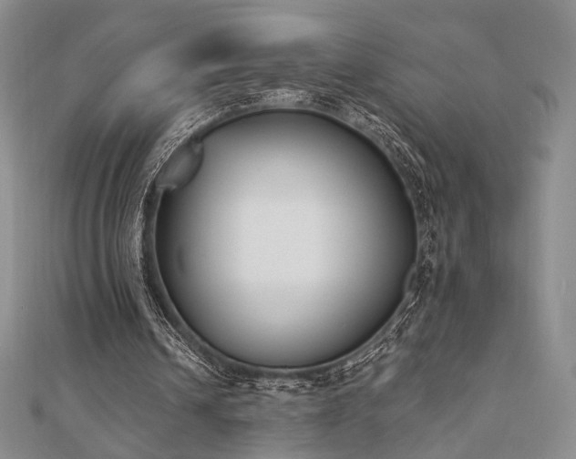 X0000110740242200906151109