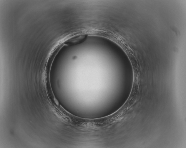 X0000110740244200906151109