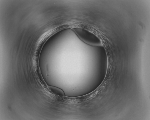 X0000110740245200906151109