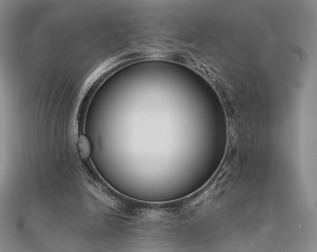 X0000110740246200906151109
