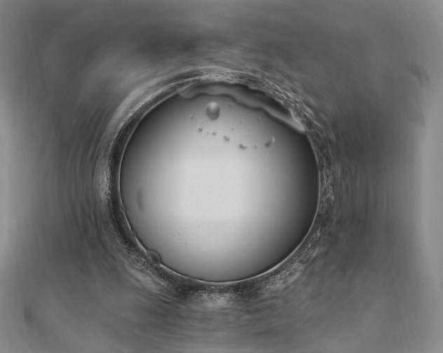 X0000110740247200906151109