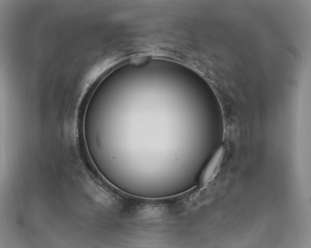 X0000110740248200906151109