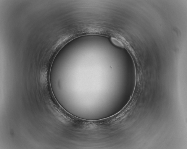 X0000110740249200906151109