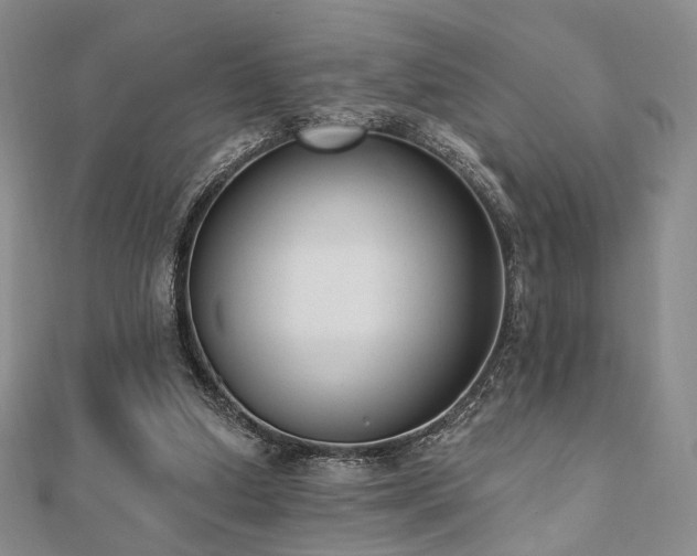 X0000110740250200906151109