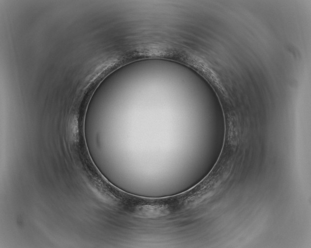 X0000110740251200906151109