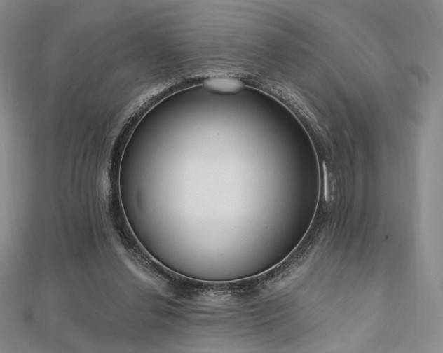 X0000110740252200906151109