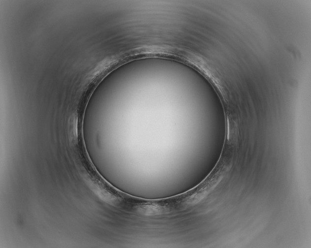 X0000110740253200906151109