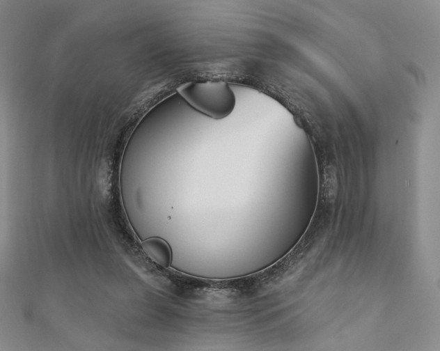 X0000110740255200906151109