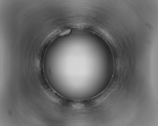 X0000110740258200906151109
