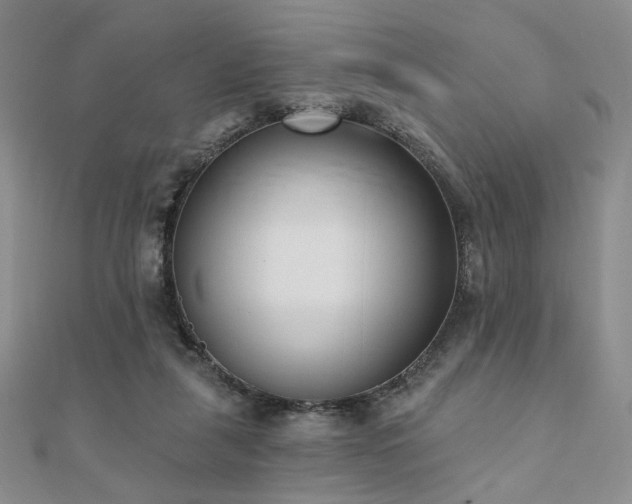 X0000110740259200906151109
