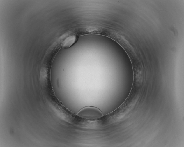 X0000110740260200906151109
