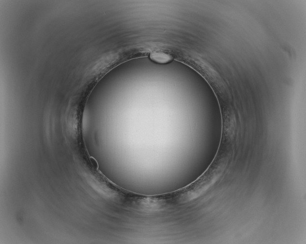 X0000110740261200906151109