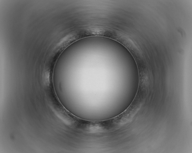 X0000110740262200906151109