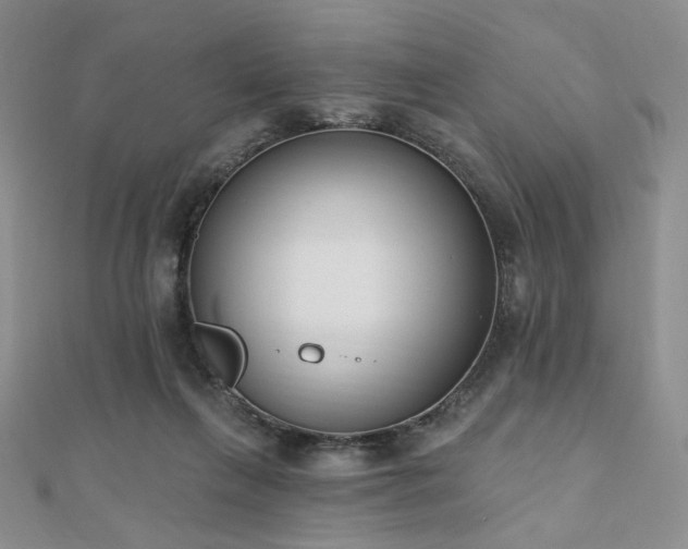 X0000110740263200906151109