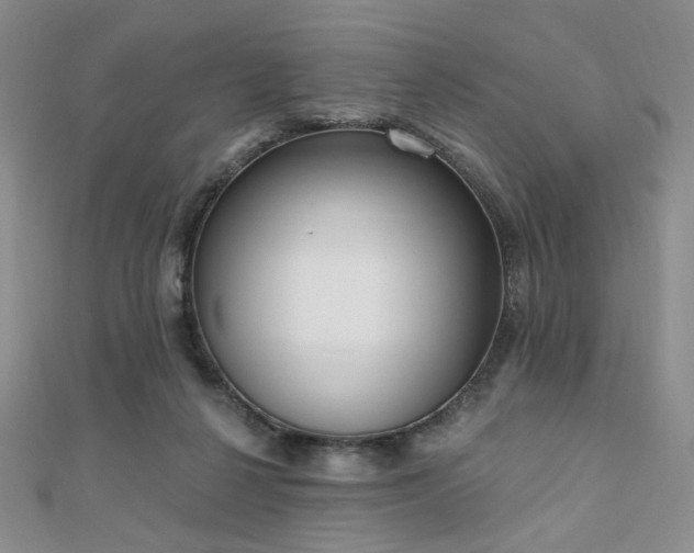 X0000110740264200906151109