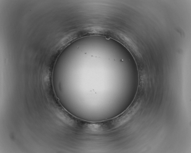 X0000110740265200906151109