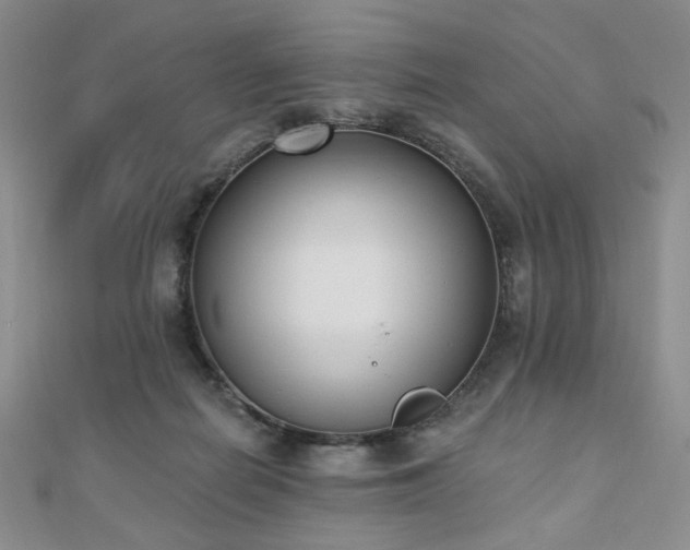 X0000110740266200906151109