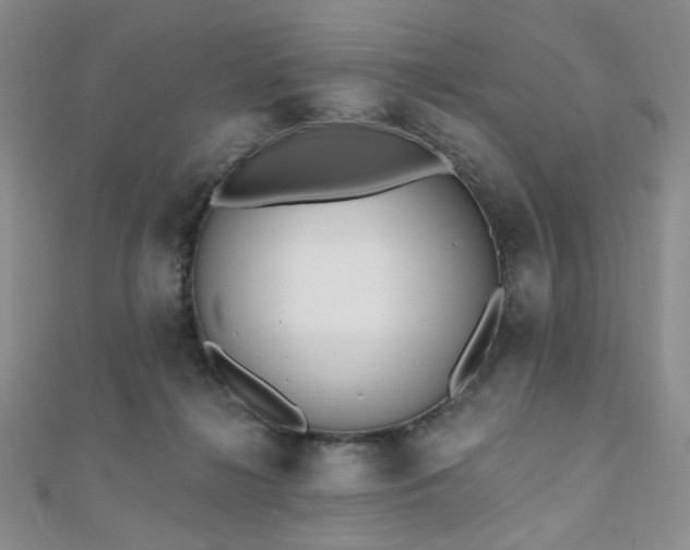 X0000110740268200906151110