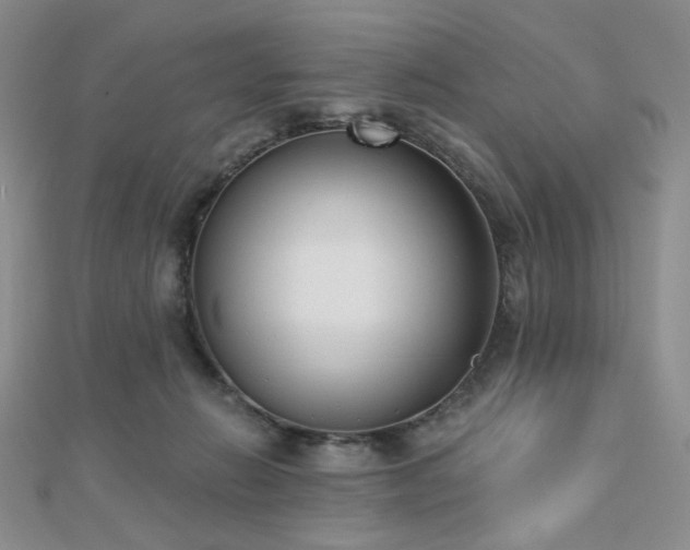 X0000110740270200906151110