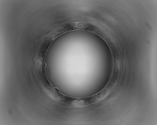 X0000110740271200906151110